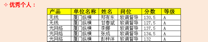 縱橫開發(fā)在華為（廣西）2016年合作單位技術(shù)大比武喜獲佳績